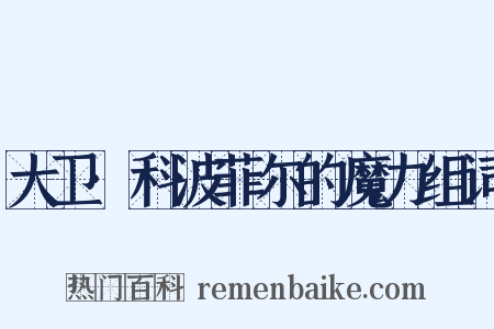 大卫·科波菲尔的魔力组词是什么意思的图片